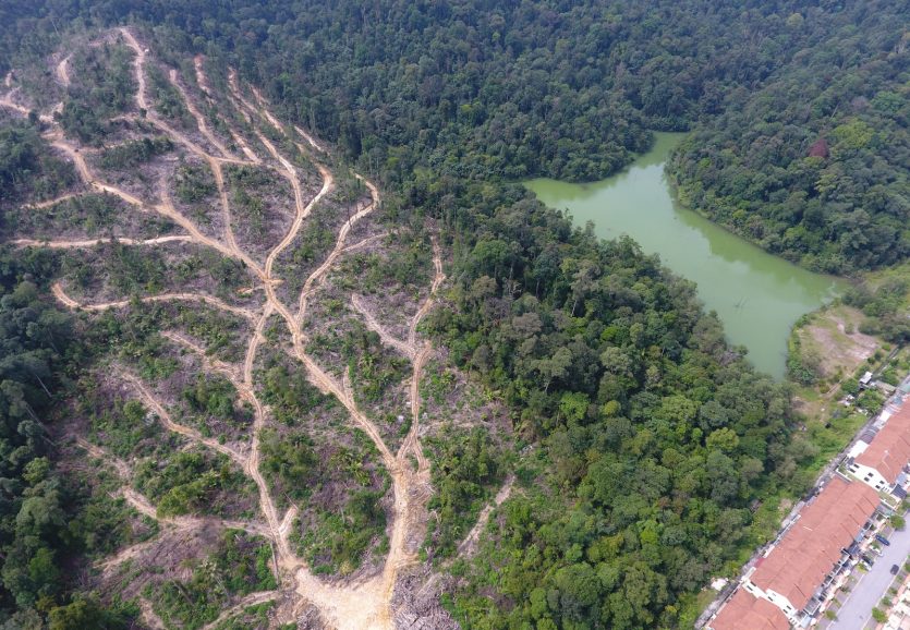 project 21 04 project 21 04